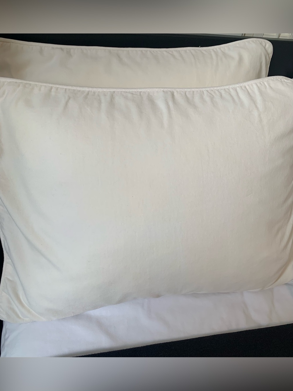 Pottery Barn Teen Ivory Velvet Stand Pillow Sham
Set of (2)